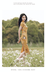 Load image into Gallery viewer, Flower Fairy Cheongsam 丨Tryst Hanfu &amp;Cheongsam
