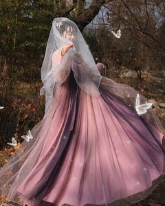 Traditional Hanfu  Clothing Chinese Fairy Dress Princess dress | Tryst Hanfus