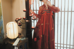 Muatkan imej ke dalam penonton Galeri, Hanfu Dress Folk Dance Costume Fairy Costume Princess Outfits | Tryst Hanfus
