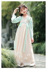 Load image into Gallery viewer, Girls Hanfu Chinese Traditional Dress Children Tang Suit Ancient Fairy Costume  Han Tang Dynasty Princess Dresses | Tryst Hanfus
