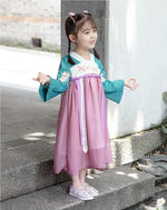 Muatkan imej ke dalam penonton Galeri, Children Cute Vintage Embroidery Summer Hanfu Princess Dress for Girl Ancient Chinese Traditional Fairy Costume Clothes Clothing | Tryst Hanfus
