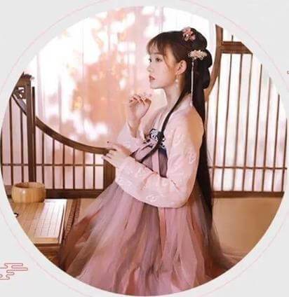 Picturesque Fairy Cosplay Traditional Chinese Costume for Women Elegant Hanfu Dress Girl Embroidery Floral | Tryst Hanfus