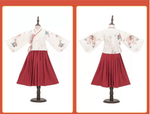 Load image into Gallery viewer, Tang Dynasty Hanfu Ancient Costume Kids Children Traditional Chinese Dress Costumes National Princess Hanfu Dresses  | Tryst Hanfu &amp; Cheongsam
