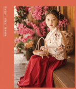 Load image into Gallery viewer, Tang Dynasty Hanfu Ancient Costume Kids Children Traditional Chinese Dress Costumes National Princess Hanfu Dresses  | Tryst Hanfu &amp; Cheongsam
