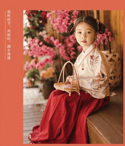 Tang Dynasty Hanfu Ancient Costume Kids Children Traditional Chinese Dress Costumes National Princess Hanfu Dresses  | Tryst Hanfu & Cheongsam