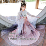 Load image into Gallery viewer, A very temperamental Chinese traditional cultural costume female Hanfu, it looks noble and elegant like a fairy. Tryst Hanfus  is the best Hanfu brand in China, a model of modern Hanfu. Enjoy the temptation of uniforms brought by fairy skirts. Give a Hanfu costume. Gift for your girlfriend, hanfu dress
