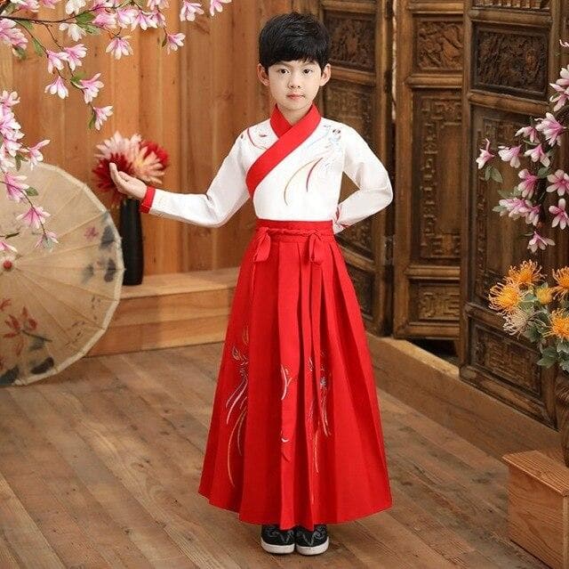 Boy Tang Dynasty Embroidery Performance Costume New Year Festival Kids Clothing Set Chinese Traditional Children Hanfu Dress | Tryst Hanfus