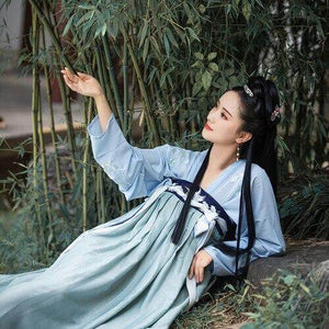 Chinese Traditional Embroidery Fairy Performance Clothing Retro Ancient Folk Chinese Hanfu Dress Princess Costume Oriental Dress | Tryst Hanfus